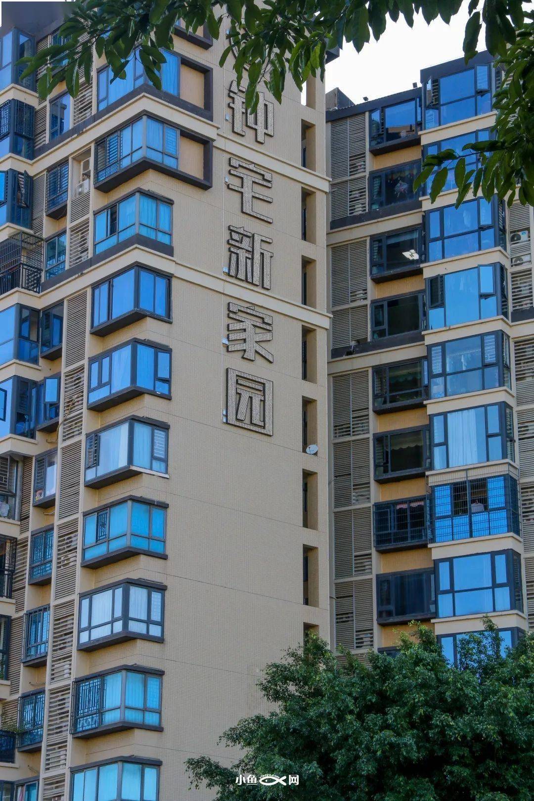 20年蜕变,骨子里的五缘湾,你真看懂了吗?_生活_厦门岛_湿地