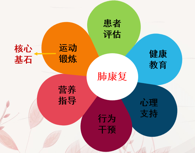 【点赞】南安市医院: 个体化肺康复训练 让患者畅享呼吸_运动_包括