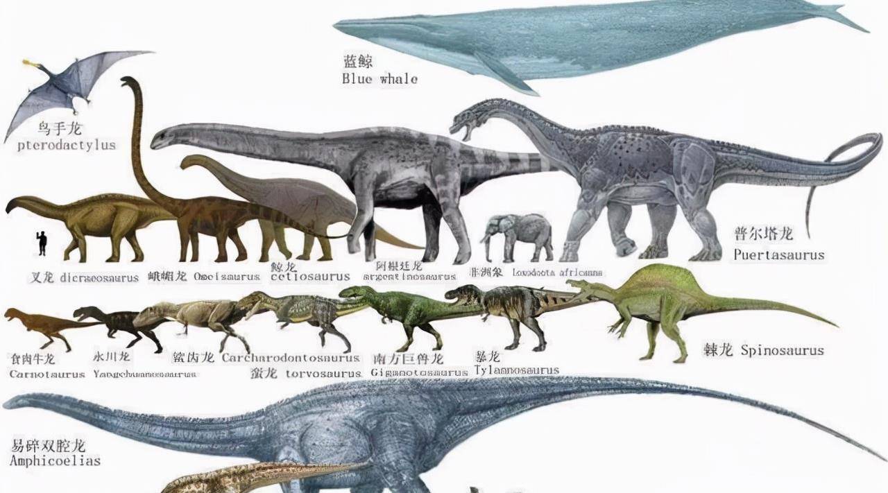 史前生物谜案:恐龙灭绝的原因,为什么如此难以破解?