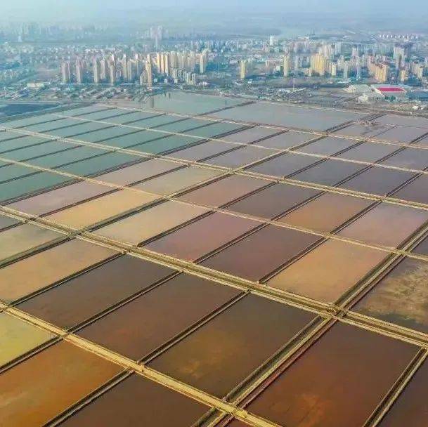天津长芦汉沽盐场 —— 一粒海盐的咸鲜之旅!_结晶_海水_生产