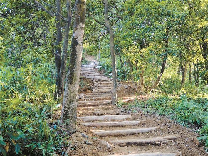 80公里手作步道邀你diy 龙岗区远足郊野径志愿者正在招募中_自然_山林