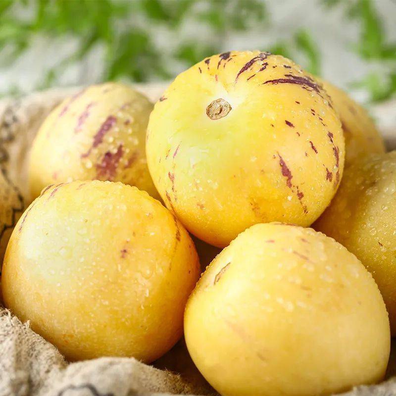 74 好闻,好吃又养颜的石林人参果,香甜可口,清爽飚汁~_黄瓜_人体