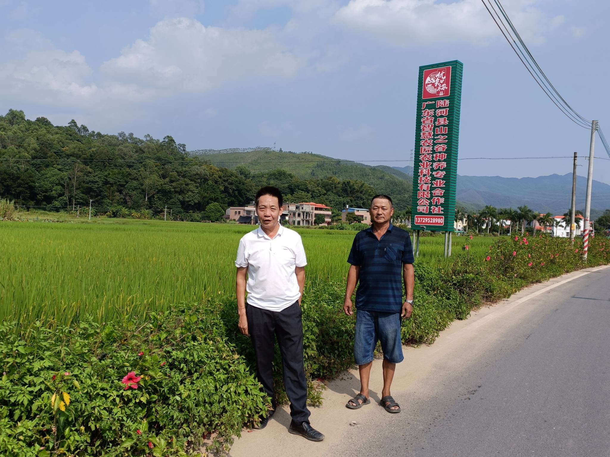 河口镇西湖村成立多家种养专业合作社搞活乡村经济_养殖_陆河县_种植