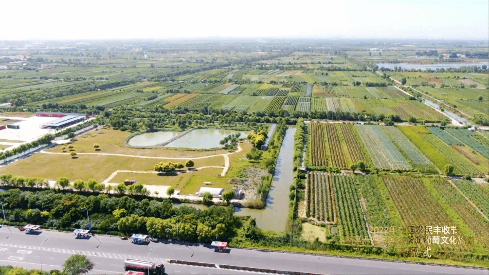 2022中国农民丰收节暨第十四届滨海茶淀葡萄文化旅游节圆满举办_发展