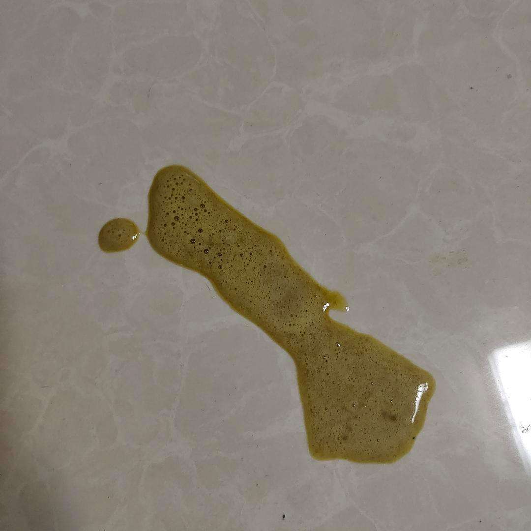 此时有必要带猫去医院了,绿色液体多为小肠液,也就是胆汁的颜色.