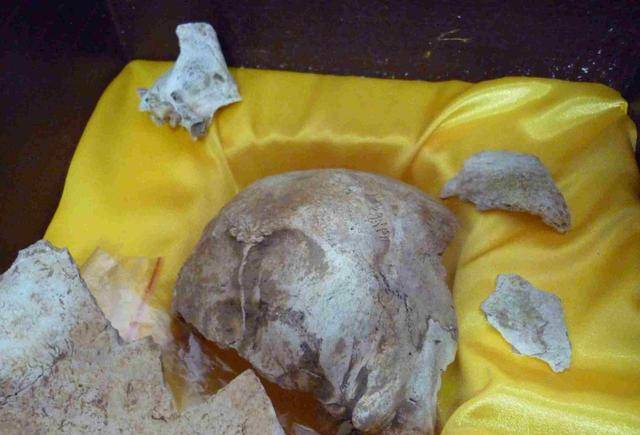 经基因检测,在山东一个村庄发现一支_曹丕_曹冲_曹魏