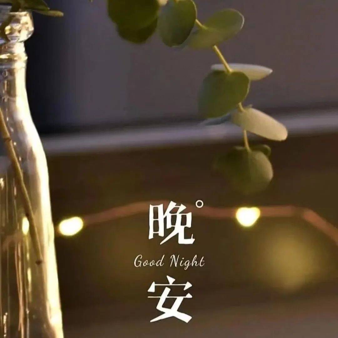 晚安|深夜治愈日签_朋友_人生_语录