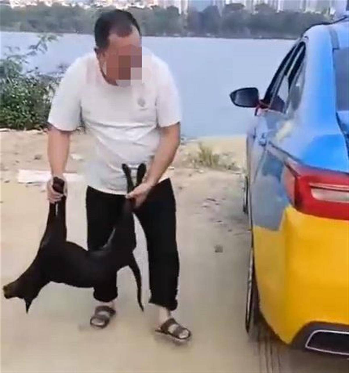 出租车公司回应 的哥在车身涂黑狗血 新车运营前求平安 已教育 视频 运营 车身