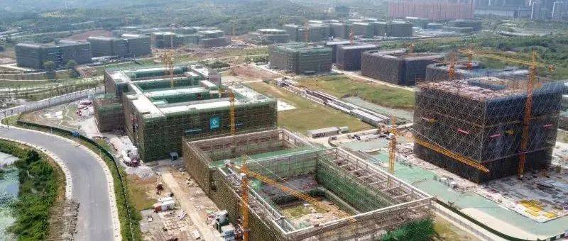 新校区来了!明年9月投用!_何文贞_刘家_项目