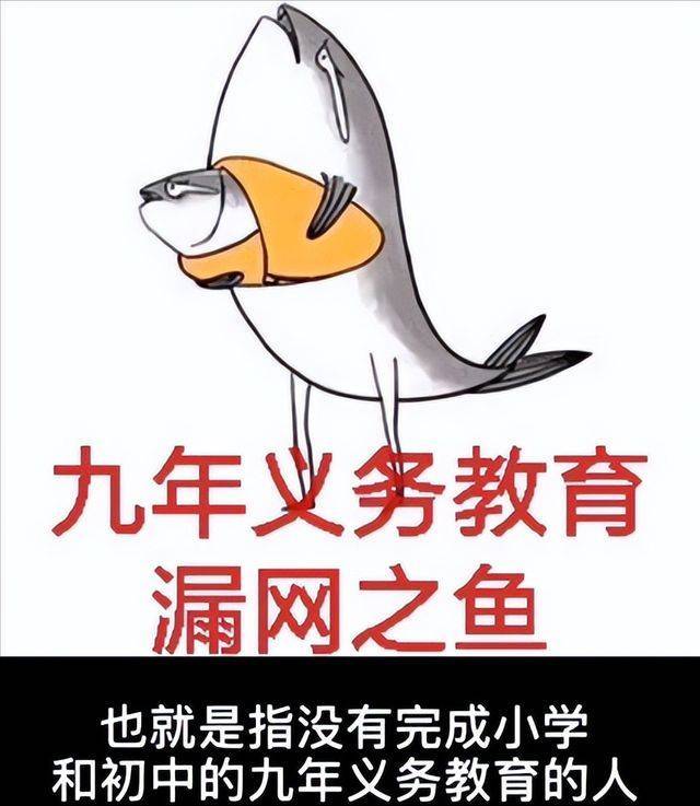网络上有一个词,叫做"九漏鱼",只意思是,九年教育漏网之鱼.