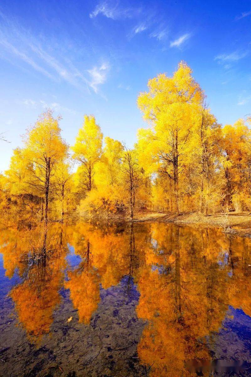 胡杨如_大自然_美景