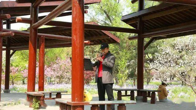 丰台百姓家门口的公园——槐新公园_传递信息_树木_北京