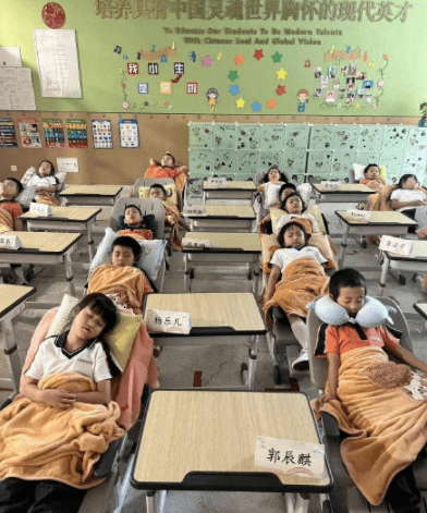这学校谁不爱？南京一小学让学生躺着午睡，网友看到学费后：难怪