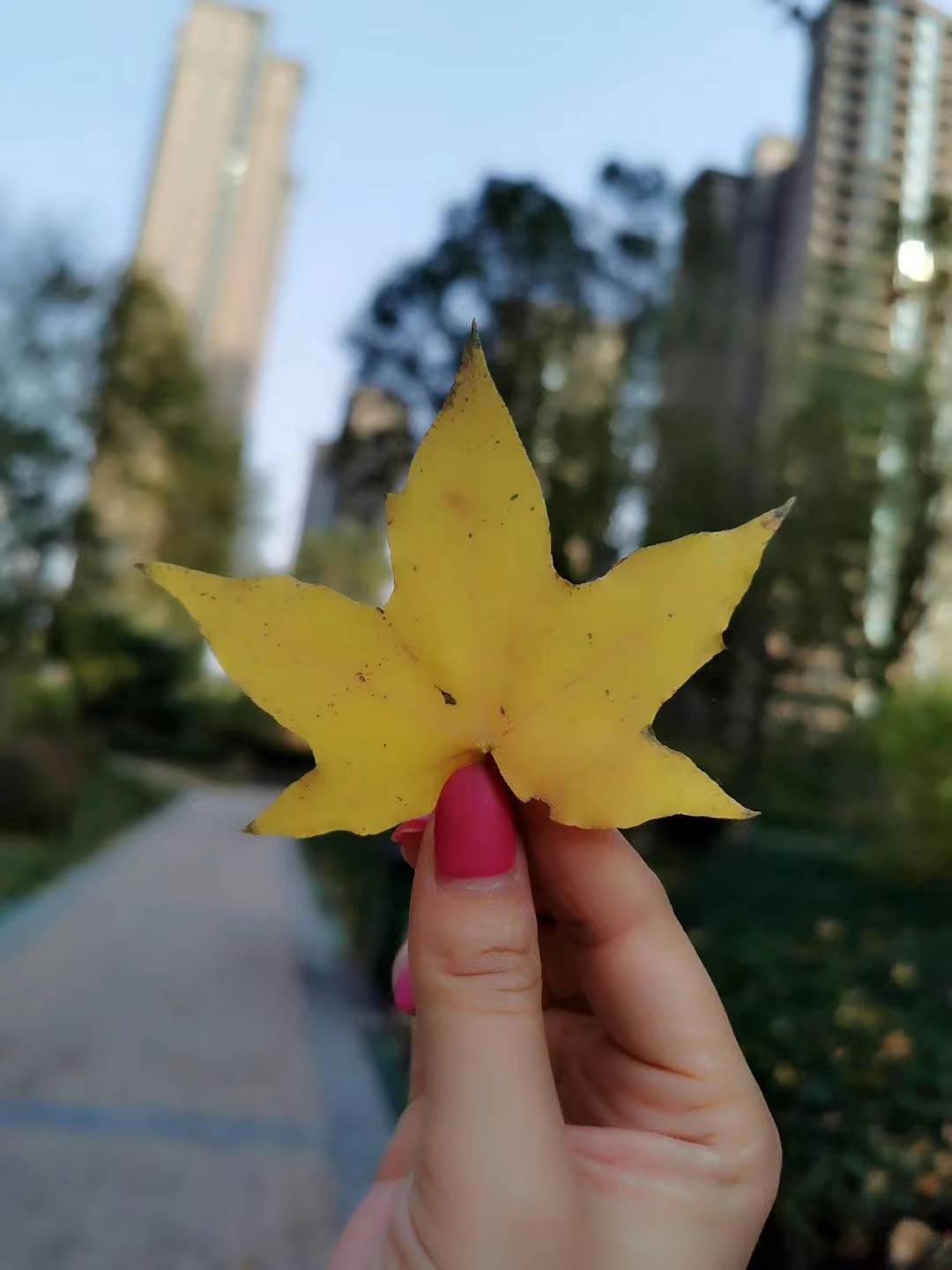 明天9月27日八方鸿运财 钱财滚滚而来的生肖 肖牛 生活会 工资