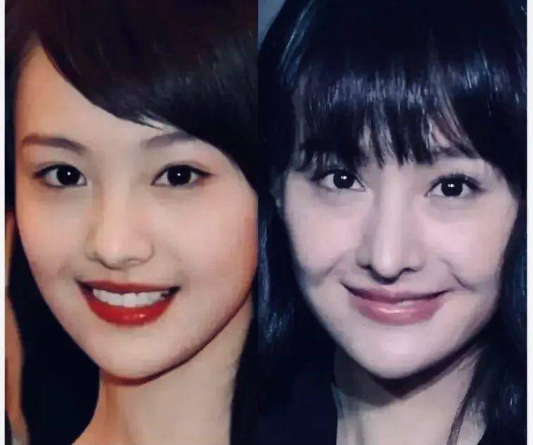 我看到了饭圈粉丝的力量,还有亲子教育的真相_郑爽_刘艳_母亲