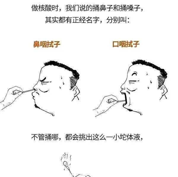 捅鼻子和捅嗓子,到底啥区别?_调整_高风险区_杜梦思