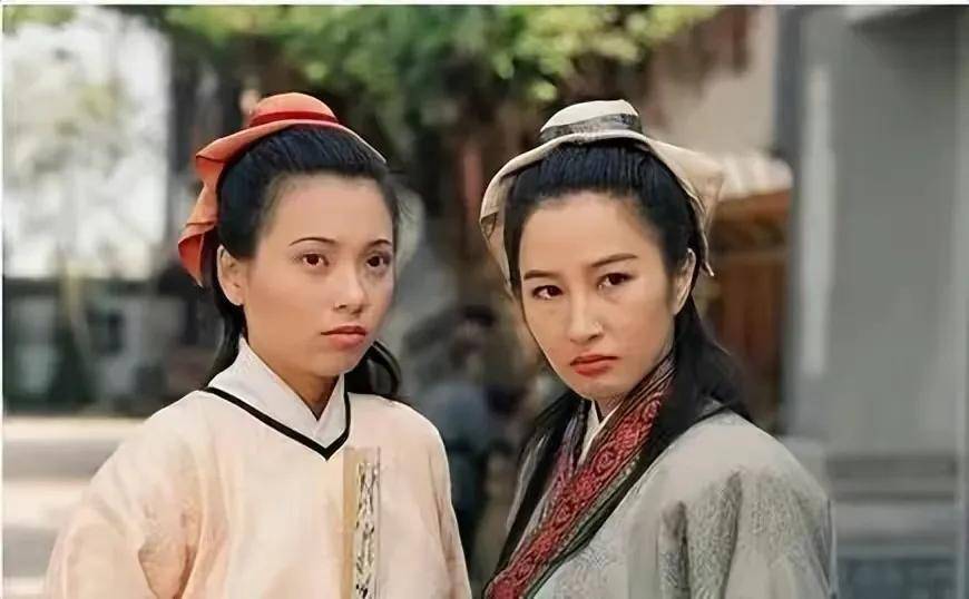 《中華英雄》等劇成為了當紅女星,1996年她接到了古裝劇《河東獅吼》