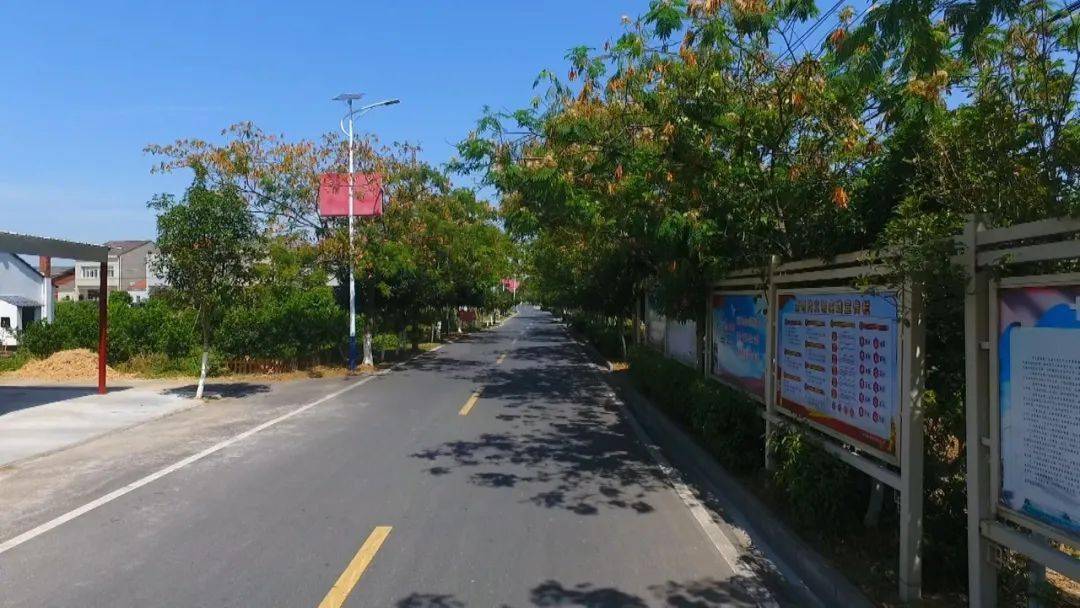 荆州市江陵县普济镇东李村村委会副主任 阳一贵:"按照他们的整洁程度