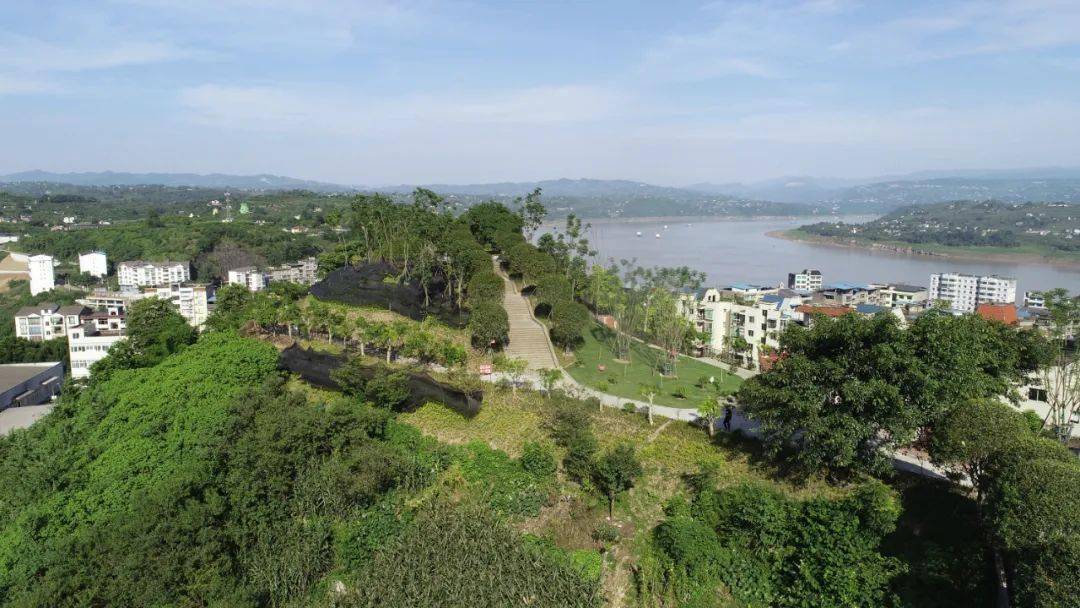 珍溪镇:笃志前行 坚守初心为民_建设_绿色_新发展