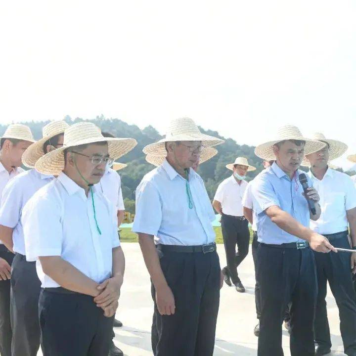 刘伟平率国家减灾委第六督查检查组到我市督查检查自然灾害防治工作_钦州_建设_自治区