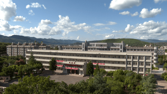 杨唯是禄丰市龙城中学的语文老师,两年前春季学期快结束前的一个月