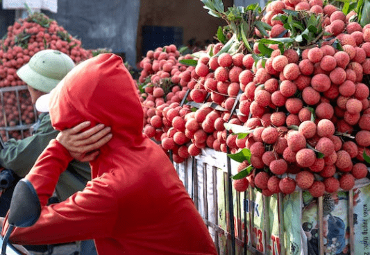 中国水果第一大省有多强？