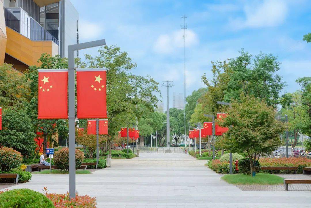 中国红,迎国庆!_相城_国旗_迎风