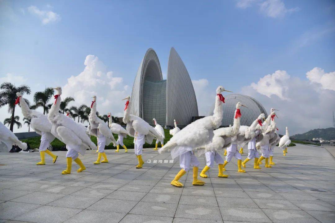 三灶鹤舞目前,金湾区现有非物质文化遗产代表性项目16项,其中1项列入