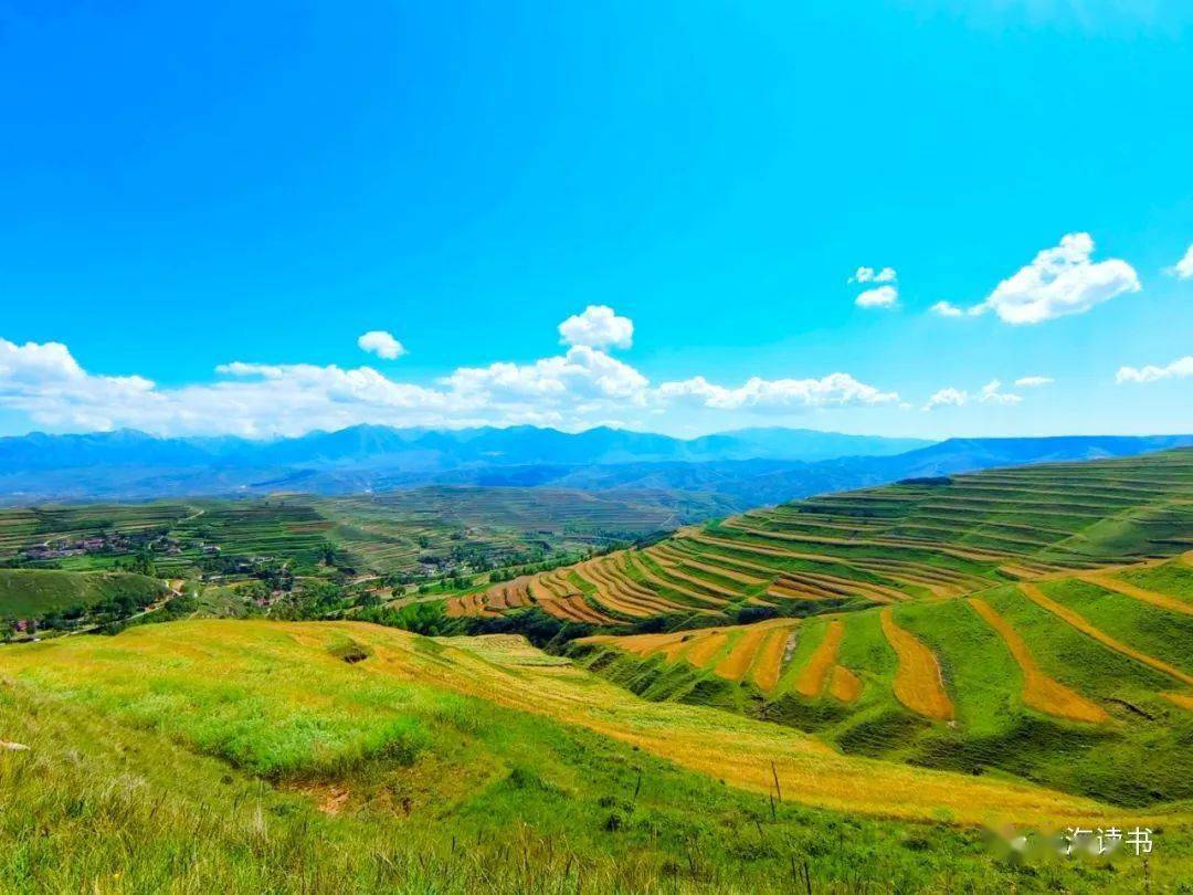 【寻美青海·图】互助县丹麻镇的庄稼丰收了_整治_索卜沟_土地