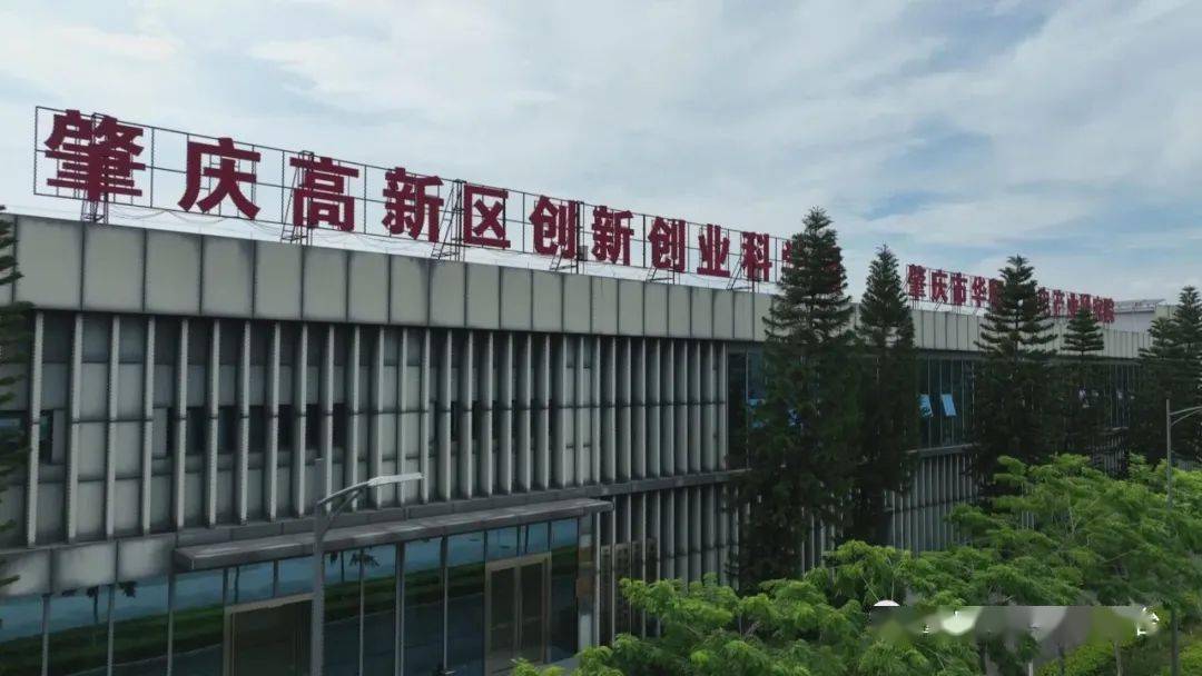 筑梦大旺|佘小艳:深耕能源领域数十载 助力大旺高质量发展_肇庆市