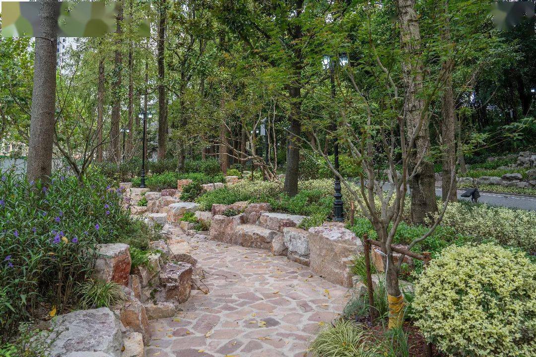 【探索】百年鲁迅公园:"破墙"见绿,焕新出发_改造_大连西路_市民