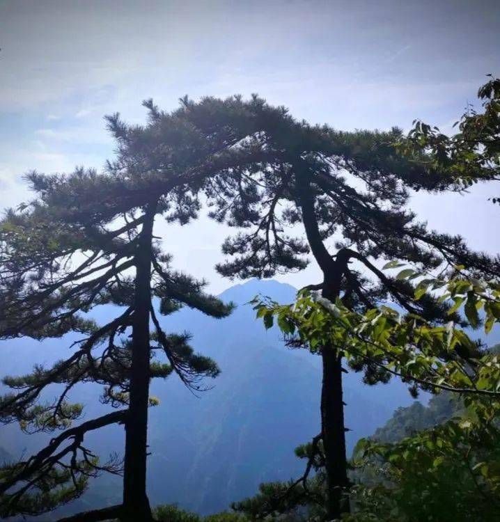 萬佛山景區國慶入園須知_旅遊_遊客_舒城縣