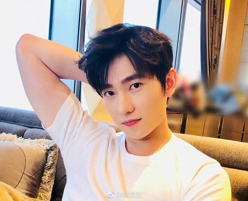 娱一语李易峰,杨幂,杨洋,肖战,袁冰妍,宋茜_品牌_资本_公司