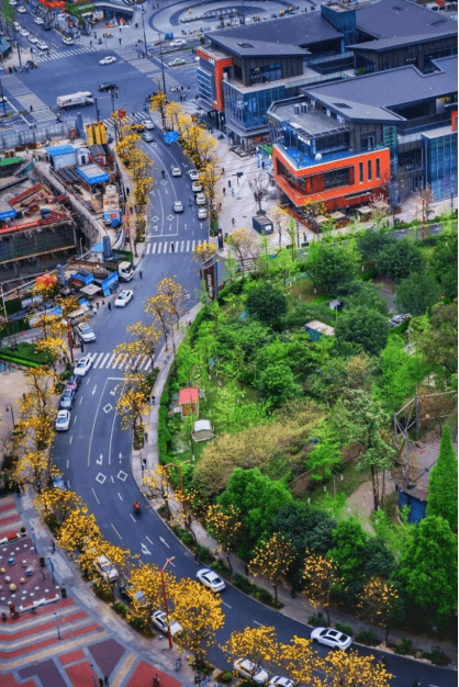 提升城市美学丨成都市成华区以城市街道一体化场景融入城市更新_记忆_生活_业态