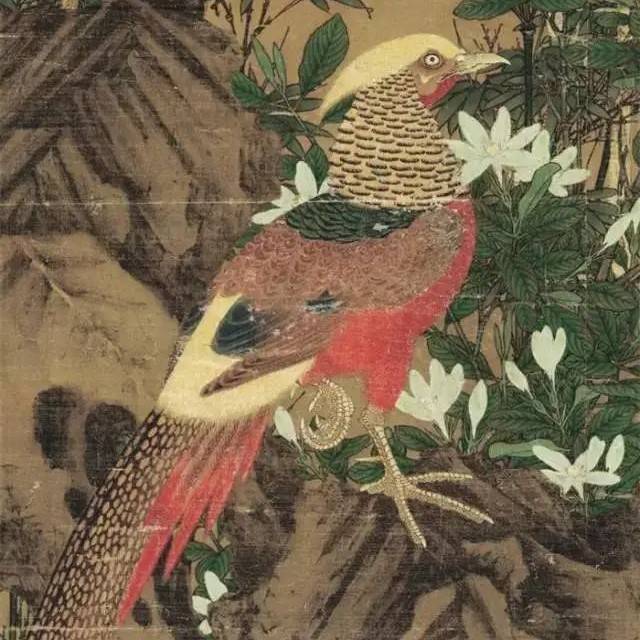 元 王渊：花繁深浅色_元代_花鸟画_锦鸡