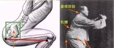 怎样快速练出内功？_身体_尾闾_会阴