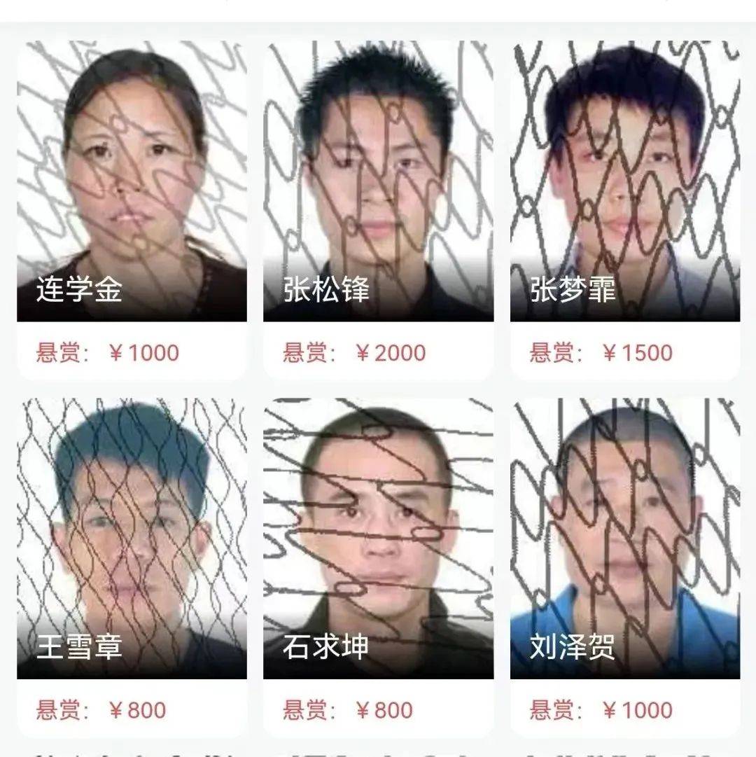 【寻人启示】重金悬赏邀你找人!_信息_线索_金额