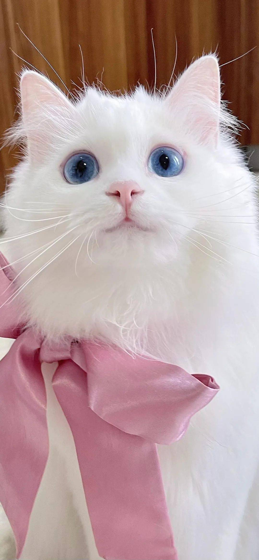 壁纸| 治愈全面屏壁纸集_壁纸_治愈