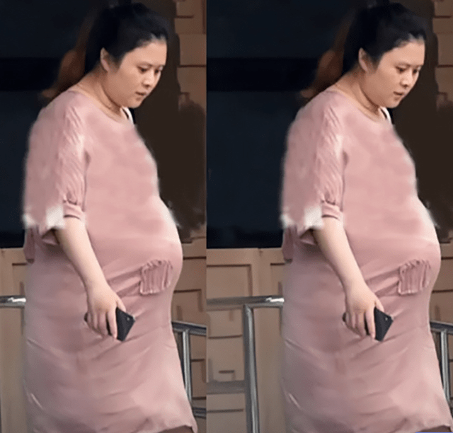 沈腾老婆王琦抱娃显胖成两个人,网友:家里空气里满是酵母_王珂_照片