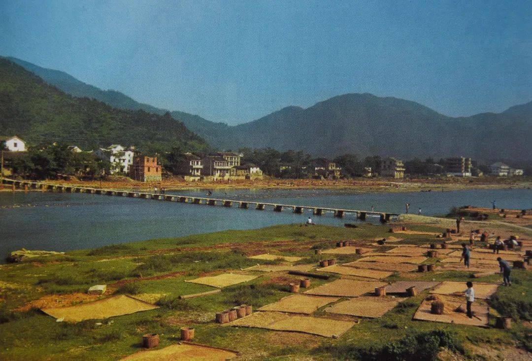 青田这些老照片,总能勾起你的"独家记忆"!_西门_大桥_山口