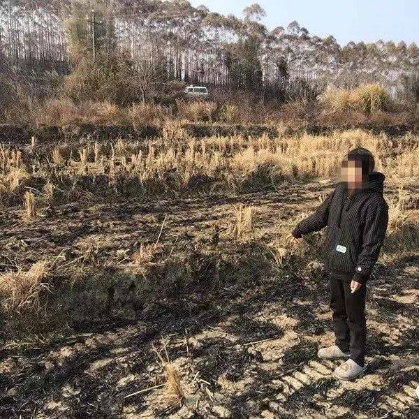 引以为戒！英德公布4起违规违法用火案例！_森林_火灾_山火