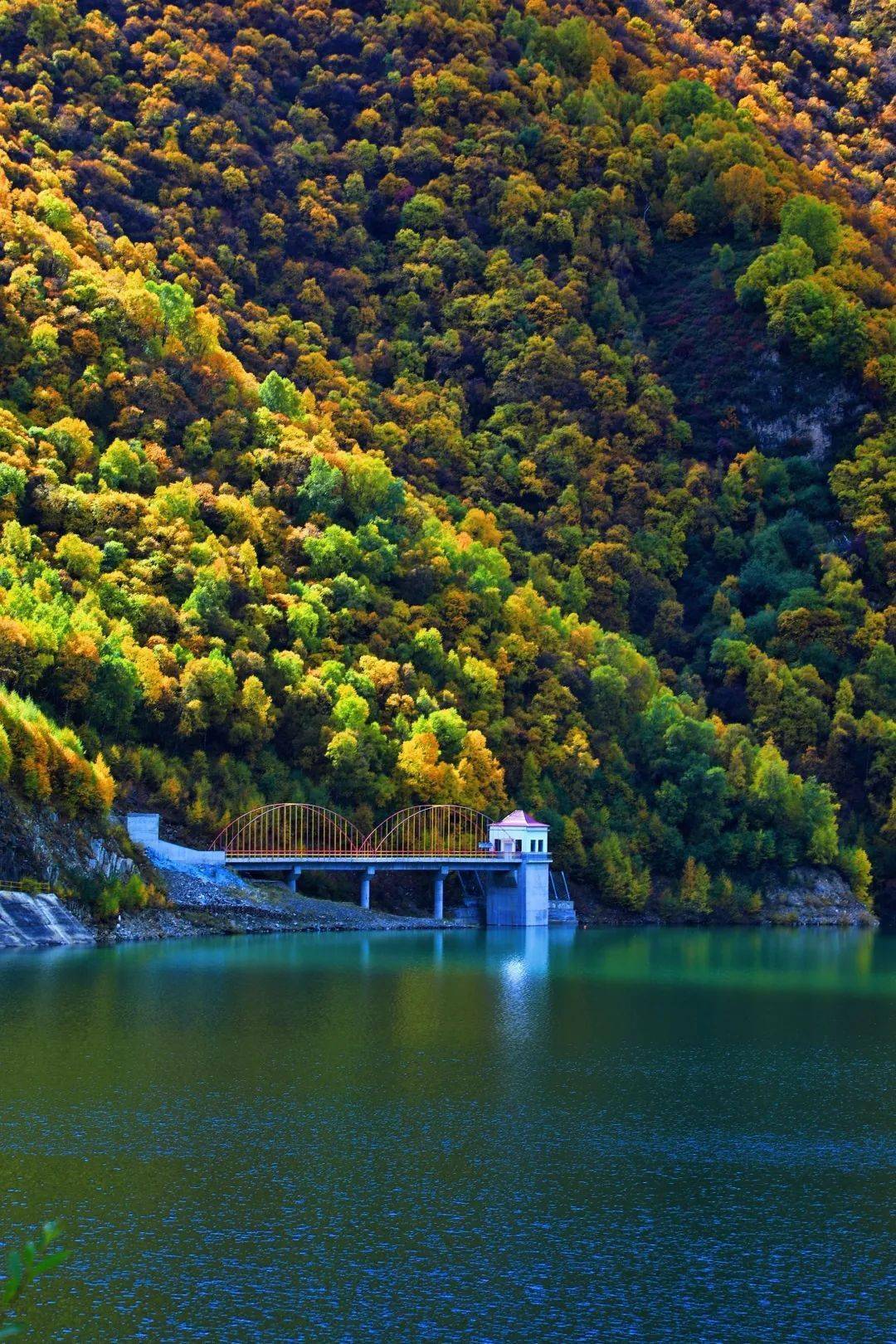 大通县:宝库秋景 "大片"来袭,一起云游!_旅游_文化_赵顺舟