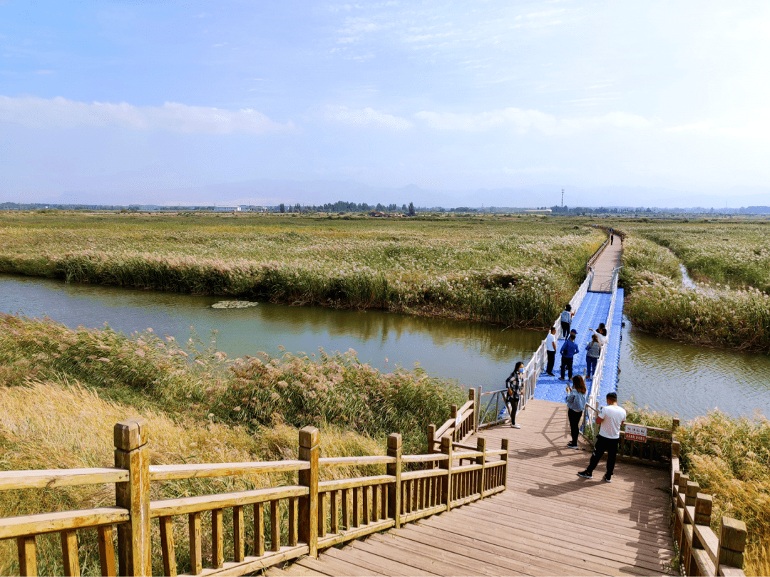 转龙平安湖湿地公园图片