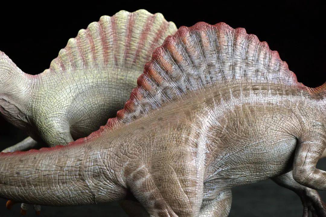 这个国庆节假期,就交给本心楠改棘背龙2.0了!_模型_恐龙_造型