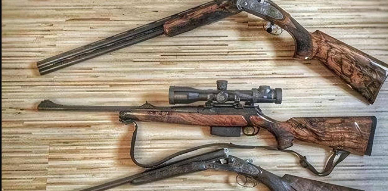 河北黑老大张宝林:为给弟弟报仇,心狠手辣枪指他人,终自食恶果_大洪