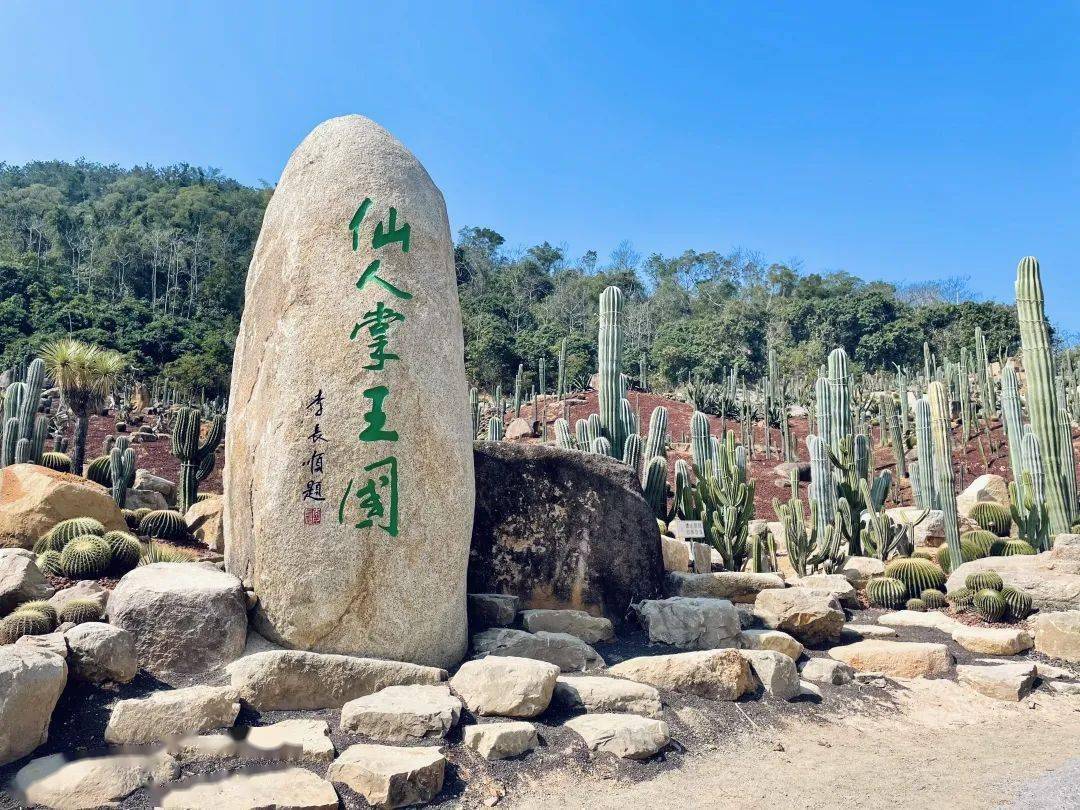 探访蜗牛村,打卡仙人掌王国.打卡漳州宝藏旅行地!