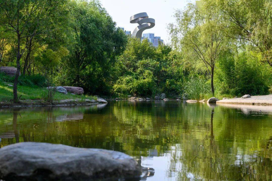 免门票活动,红叶节,粉黛乱子草…国庆郑州出游攻略来了!