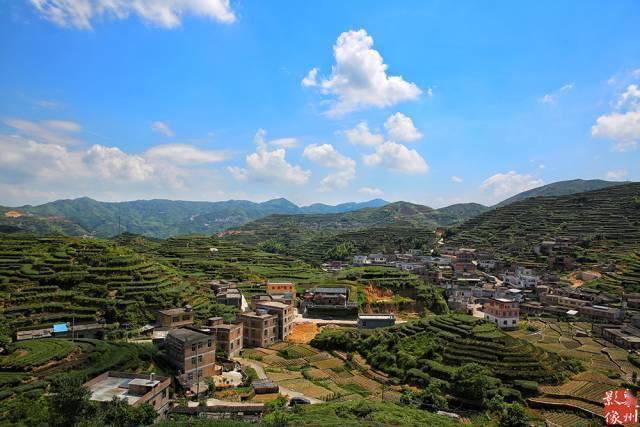 安溪大坪"人气乡村"网络票选开始了!_茶叶_大坪乡_瀑布群