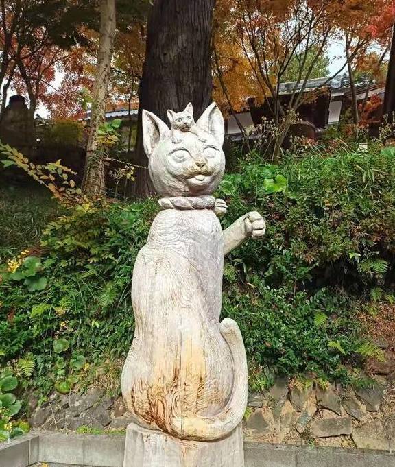 神奇的日本网红打卡地“猫寺”：日本人把猫当成神一般崇拜