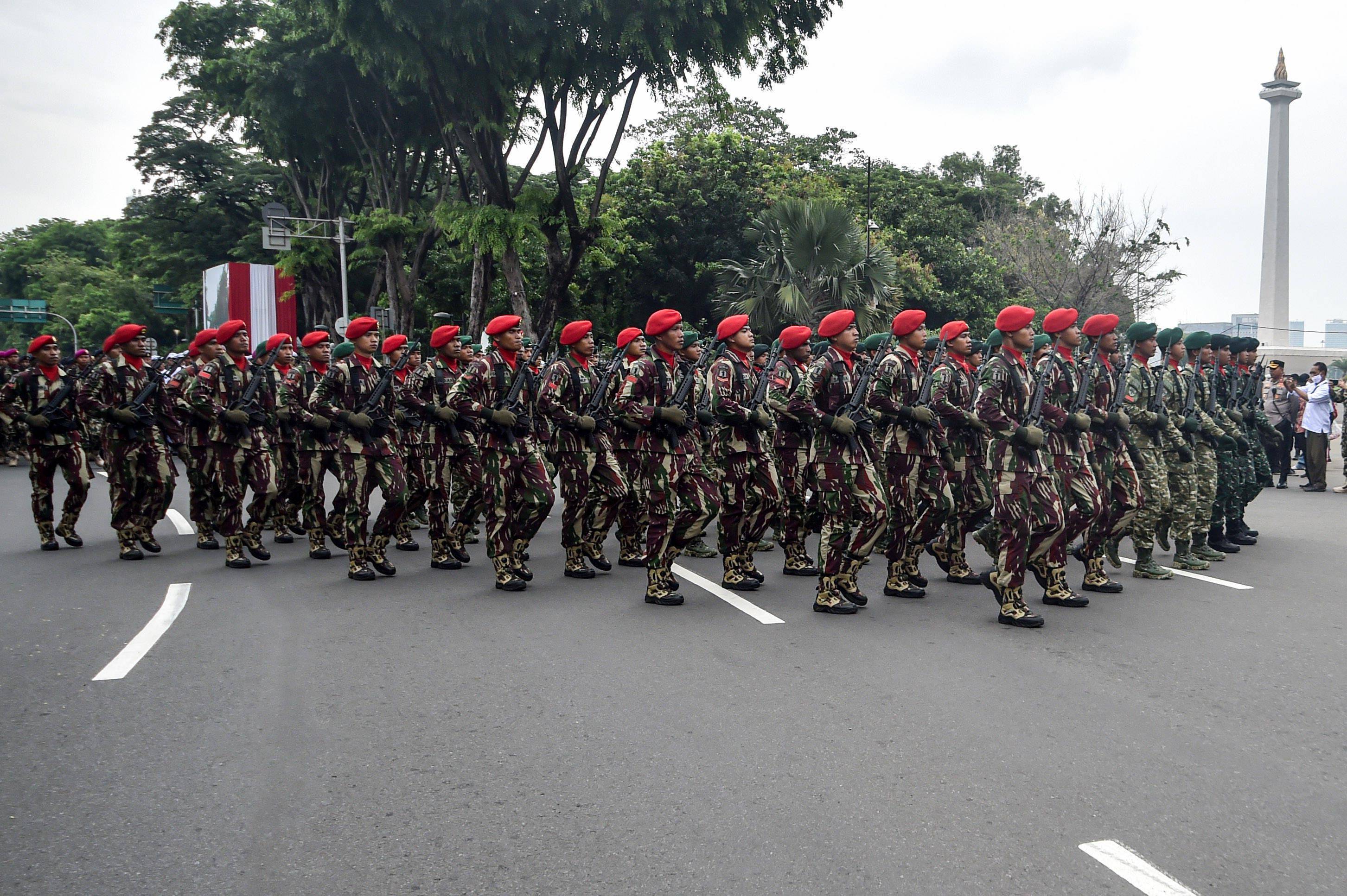 印尼国民军图片
